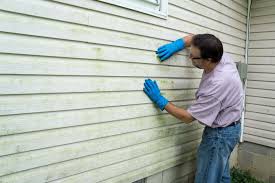 Reliable Santa Rosa Valley, CA Siding Services Solutions